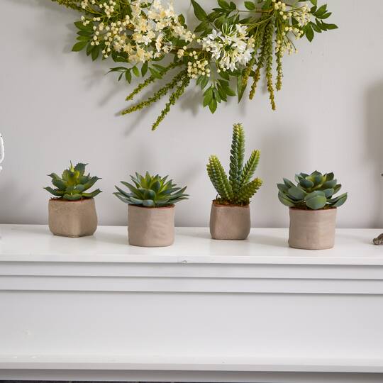 6" Potted Mixed Succulent Plants, 4ct.